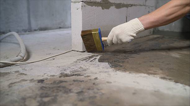SJ Waterproofing Pros Emergency Waterproofing coverage map for Stapleton, AL and surrounding area